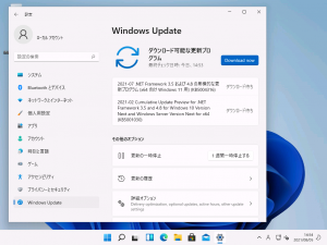 Win11Update