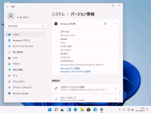 Win11バージョン情報